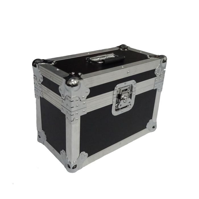 Flight 2 mini lyre eco