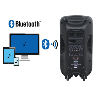 Sono Portable 200W + 100W + 2 Micros + Serre-tête + DVD + USB