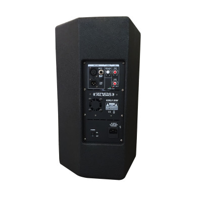 Enceinte active bois