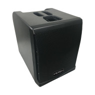 Système amplifié de type colonne 500W RMS