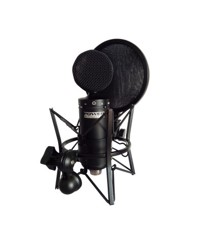 Micro de studio à condensateur + Suspension avec filtre anti-pop