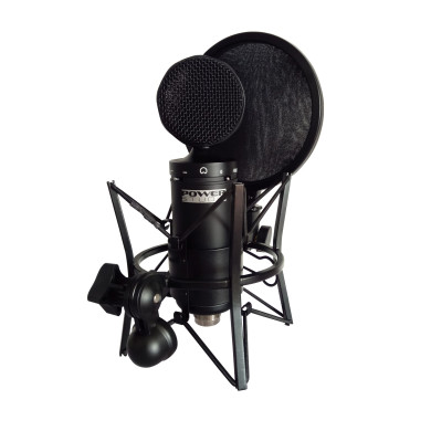 Micro de studio à condensateur + Suspension avec filtre anti-pop