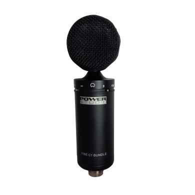 Micro de studio à condensateur + Suspension avec filtre anti-pop