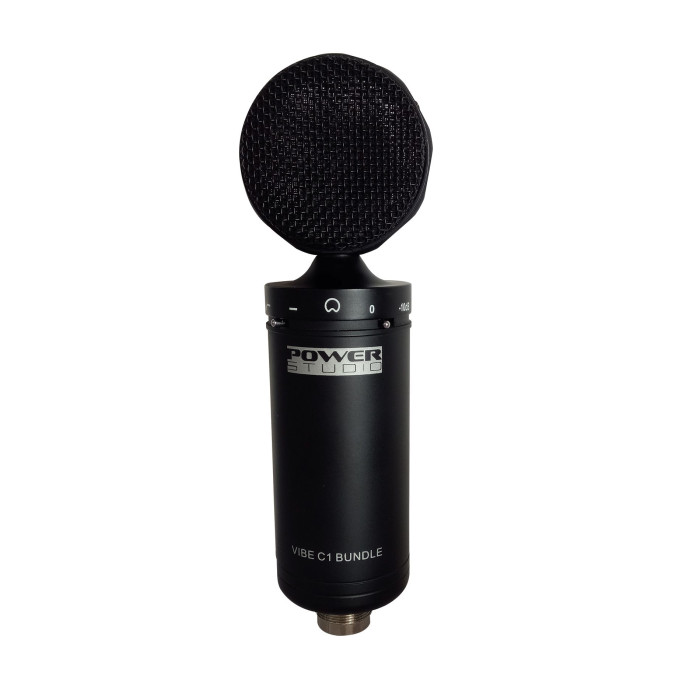Micro de studio à condensateur + Suspension avec filtre anti-pop