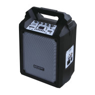 Sono Portable 100W sur batterie