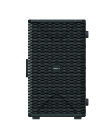 Caisson de basse actif DSP 500W