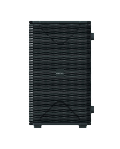 Caisson de basse actif 250W