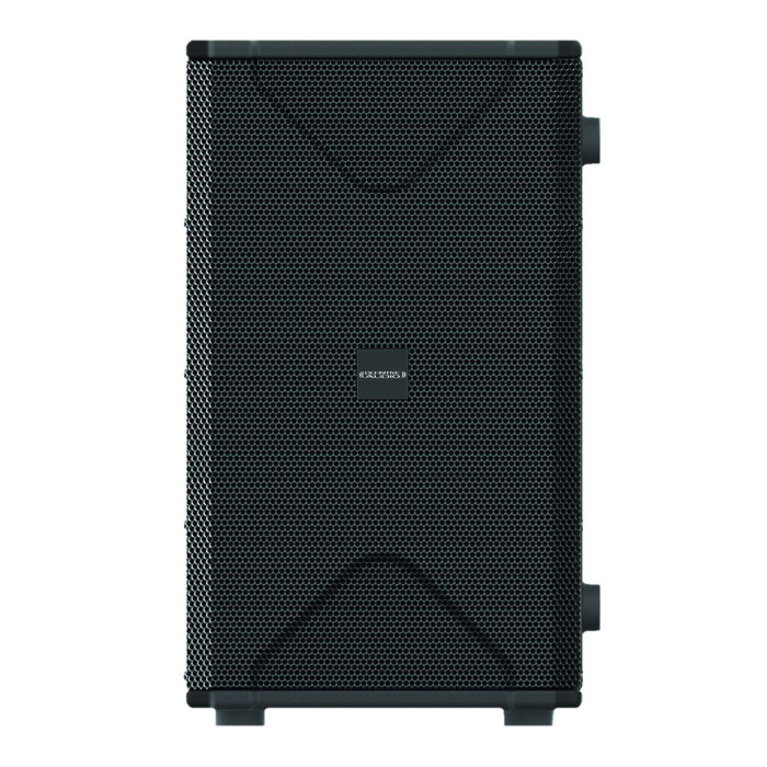Caisson de basse actif 250W