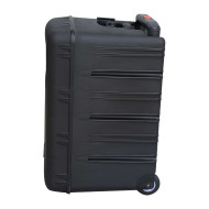 Sono portable MP3+USB+2 micros main UHF