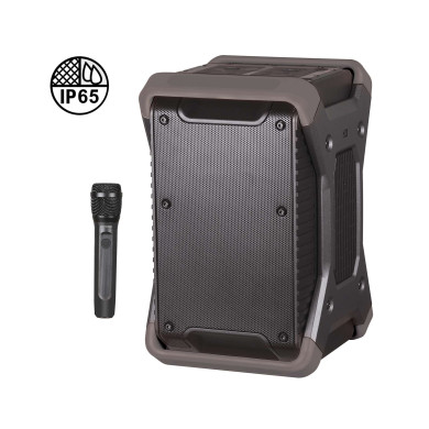 Sono portable USB/Bluetooth + Carte SD + 1 Micro main UHF