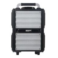 Sono Portable 250W sur batterie+2 micro main UHF