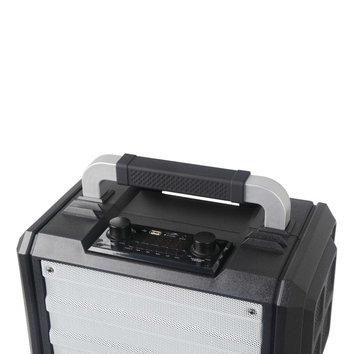 Sono Portable 250W sur batterie+2 micro main UHF