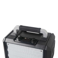 Sono Portable 250W sur batterie+2 micro main UHF