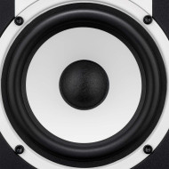 Enceinte monitoring 5 pouces - paire