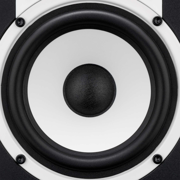 Enceinte monitoring 5 pouces Bluetooth - paire
