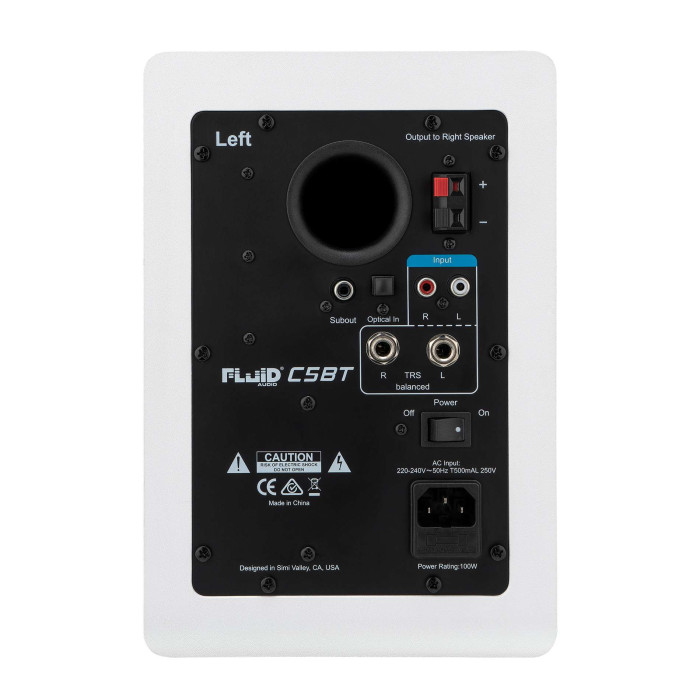 Enceinte monitoring 5 pouces Bluetooth blanche - paire