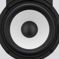 Enceinte monitoring 5 pouces Bluetooth blanche - paire
