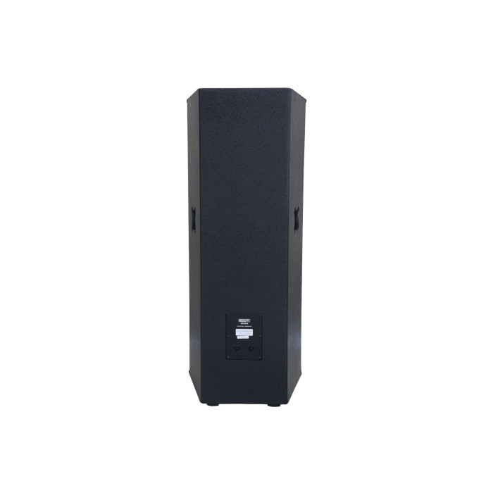 Enceinte passive 1300W