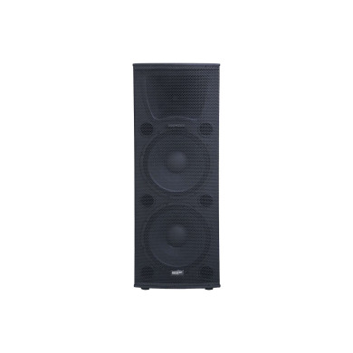 Enceinte passive 1300W