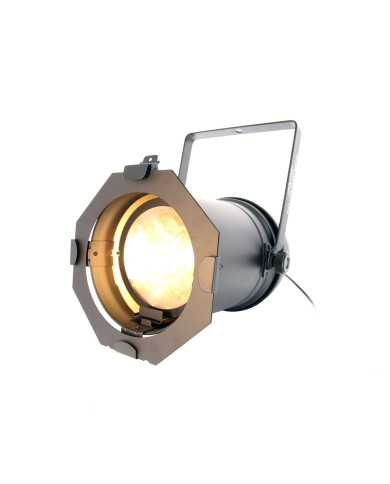 Par Cob Zoom 100 WW