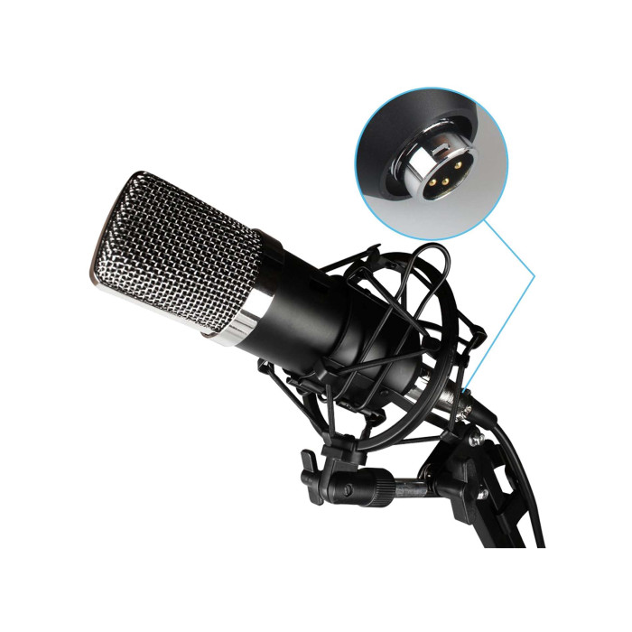 VIBE BUNDLE B1 XLR