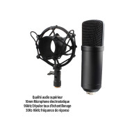 VIBE BUNDLE B1 XLR