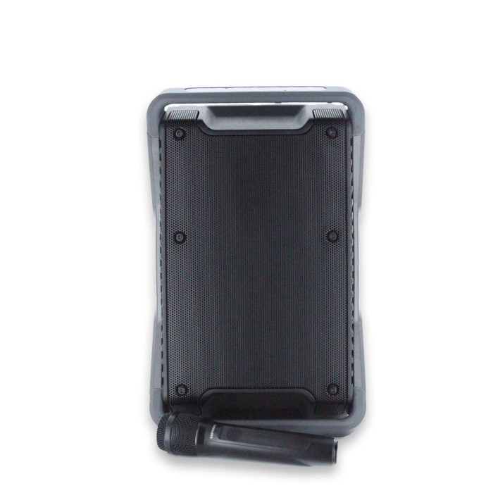 Sono portable USB/Bluetooth + Clé usb + 1 Micro main UHF