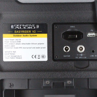 Sono portable USB/Bluetooth + Clé usb + 1 Micro main UHF