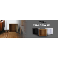 Meuble de rangement noir pour 120 vinyles