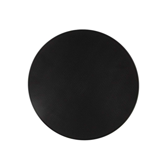 Enceinte suspendue plafond