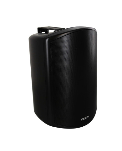 Enceinte Extérieur Noire IP66 - Vendue à l'Unité