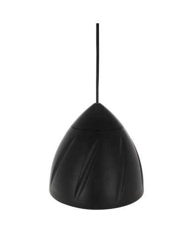 Enceinte Noire Suspendue 30W