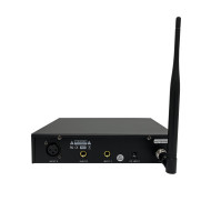 Système Ear-Monitor UHF Double