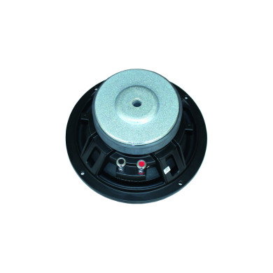 Haut Parleur 20 cm 240W - F 0803 B