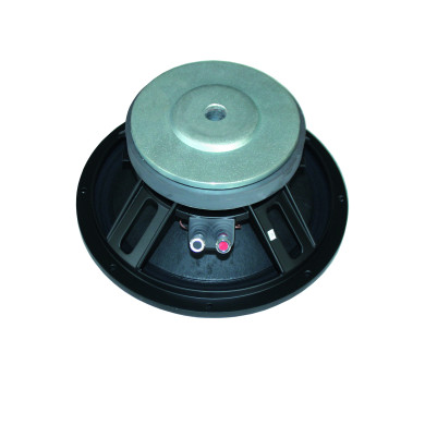 Haut Parleur 38 cm 900W - F 1503 B