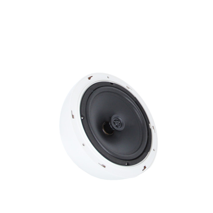 Enceinte Suspendue Sphérique