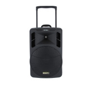 Sono Portable Lecteur CD MP3/SD/USB/DIVX/Bluetooth + 2 Micros Main et 2 Serre-Tête UHF