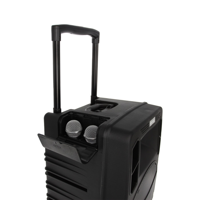 Sono Portable Lecteur CD MP3/SD/USB/DIVX/Bluetooth + 2 Micros Main et 2 Serre-Tête UHF