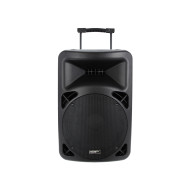 Sono Portable Lecteur CD MP3/SD/USB/DIVX/Bluetooth + 2 Micros Main et 2 Serre-Tête UHF