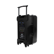 Sono Portable Lecteur CD MP3/SD/DVD/USB/DIVX/Bluetooth + 2 Micros Main et 2 Serre-Tête UHF