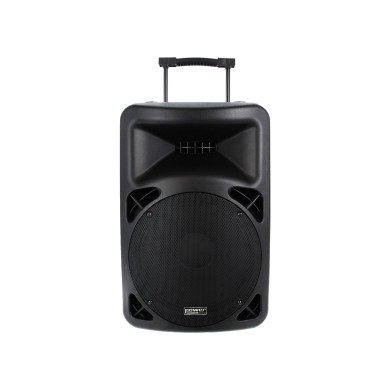 Sono Portable Lecteur CD MP3/SD/DVD/USB/DIVX/Bluetooth + 2 Micros Main et 2 Serre-Tête UHF
