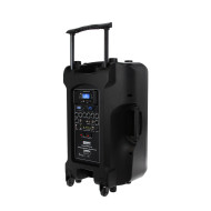 Sono Portable Lecteur SD/USB/Bluetooth + 2 Micros Main UHF