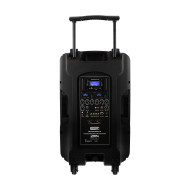 Sono Portable Lecteur SD/USB/Bluetooth + 2 Micros Main UHF