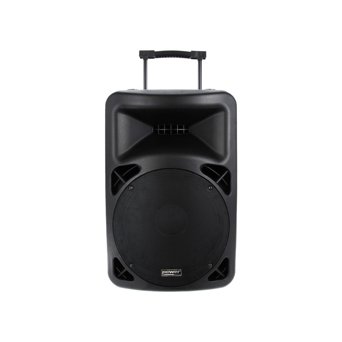 Sono Portable Lecteur SD/USB/Bluetooth + 2 Micros Main UHF