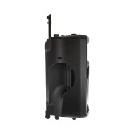 Sono Portable Lecteur SD/USB/Bluetooth + 2 Micros Main UHF