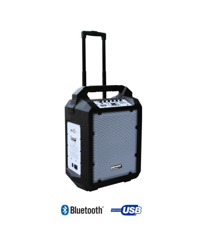 Sono Portable 200W sur Batterie avec Trolley