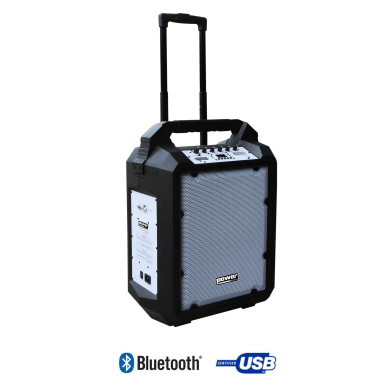 Sono Portable 200W sur Batterie avec Trolley