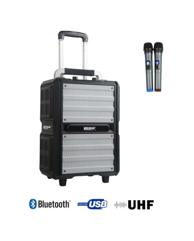 Sono Portable 250W sur Batterie + 2 Micros main UHF
