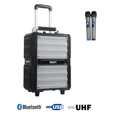 Sono Portable 250W sur Batterie + 2 Micros main UHF