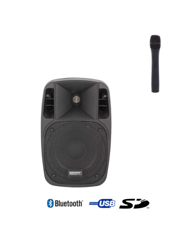 Sono Portable 8’’ sur Batterie + 1 Micro Main VHF